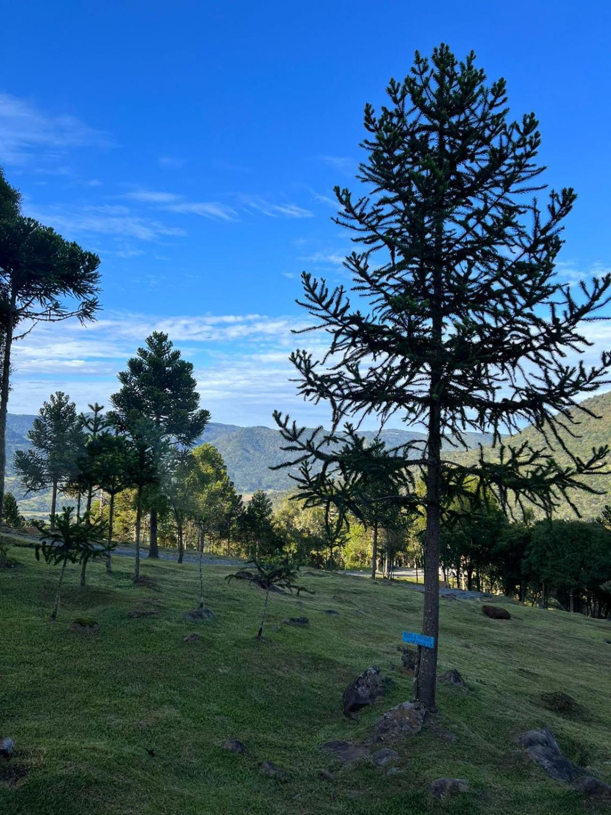 Cabana Refugio - Pousada Colina Dos Ventos Urubici Kültér fotó
